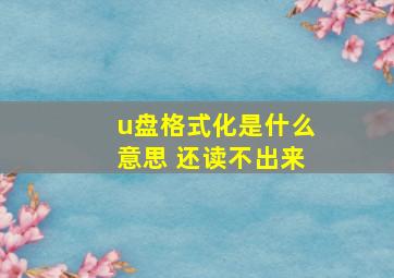 u盘格式化是什么意思 还读不出来